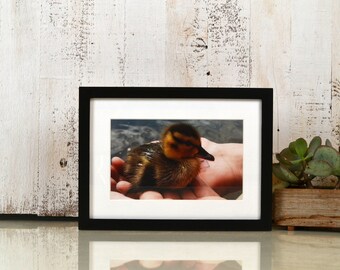 A4 Size Picture Frame in Peewee Style with Solid Black Finish - IN STOCK Same Day Shipping - Handmade Frame 210 x 297 mm - 8.3 x 11.7"