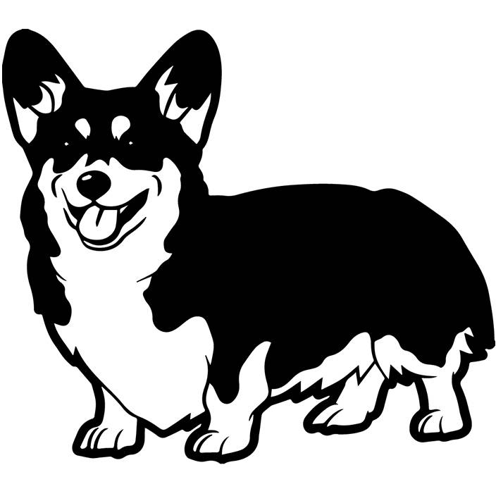 Download Cardigan Welsh Corgi 1 Dog Breed Canine K-9 Animal Pet Hound