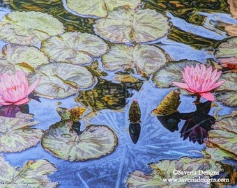 Water lily giclee print, pond water lilies, lotus flower art, pond decor, garden art print, pond lily, pink floral wall art, water garden