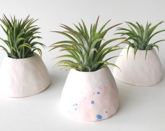 One Air Plant and Ceramic Air Plant Holder // Handmade Air Planter // Tillandsia