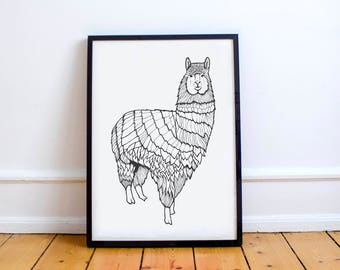 A1 / A2 Llama Print