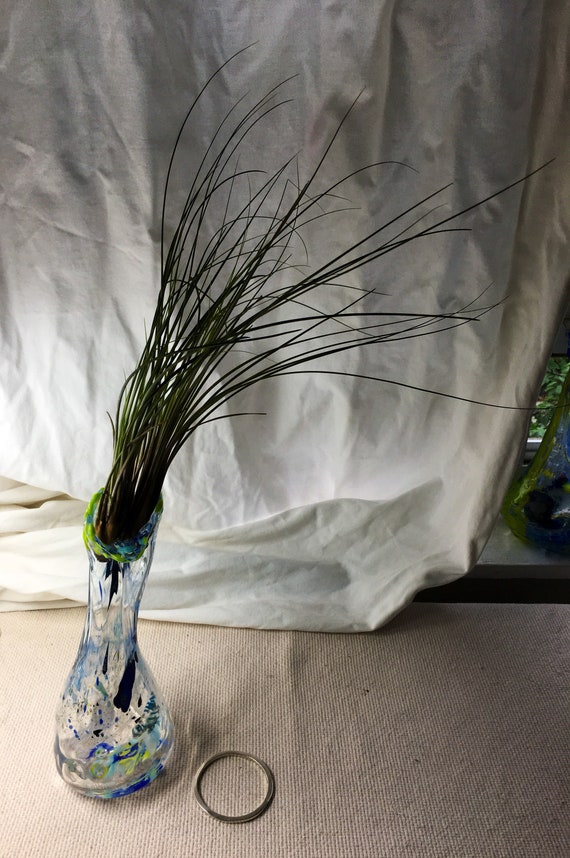 Hand blown glass jellyfish vase with living air plant , bromeliad