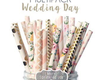 Blush, Gold, Light Pink, Peach, Paper Straws, Flowers, WEDDING DAY, Wedding, Damask, Dots, Vintage, 25 Straws, Stripes, Shower, Party