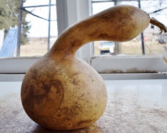 Dried Birdhouse gourd, for crafts
