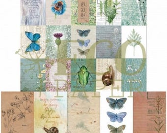 Meadowsweet Nature cards
