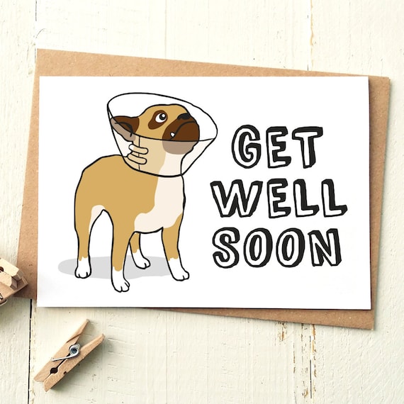 funny-get-well-card-get-well-soon-card-dog-card-get-well