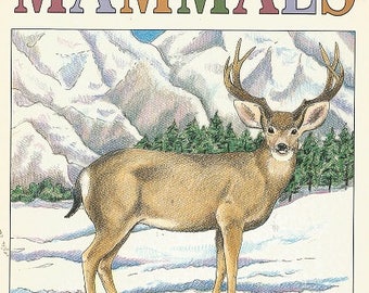 Vintage PETERSON FIELD Guide Coloring Books - MAMMALS - Copyright 1987 - Unused