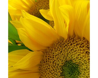 Yellow Sunflower Art, Photography Print, Sunflower Photo, Neon Sunflower Art Print, Flower Wall Decor, Nursery Decor, Flower Art