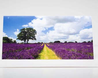 Greeting Card: Lavender under a Big English Sky