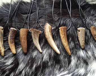 Naturally shed deer antler tip on a 20" leather cord