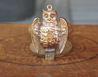 Vintage French Brass Stamping/Antique Style/Art Nouveau/Owl/Woodland/Wisdom/French Findings