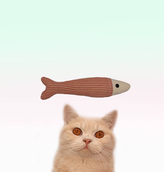 Handmade Unique Canadian Catnip cat toys Sardines cool cat