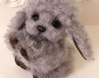 Fluffy Spaniel dog