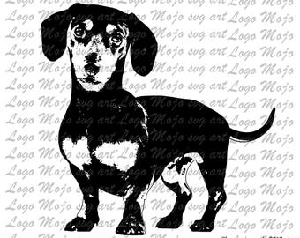 Download Dachshund svg file | Etsy