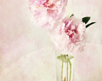 Pink Peonies in a Vase, flowers, wall art, flower photography, fine art photography, floral photography, flower print