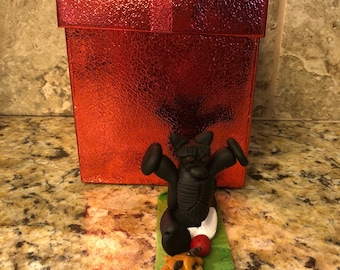 Yoga Miniature Schnauzer