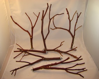 Manzanita Bird Perches Multibranch Set of Seven with Hardware 11" to 15" long 5/8" to 1/4" diameter