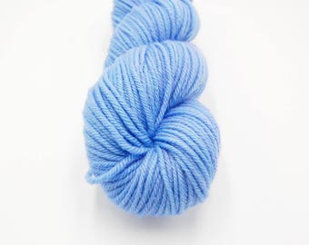 Merino Worsted Hand Dyed Yarn - Paisley