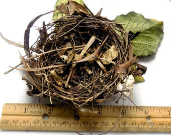 Bird Nest - Natural Bird Nest - Outdoor Decor - Craft Supplies -natural craft supplies - woodland decor - rustic wood supply - # 32