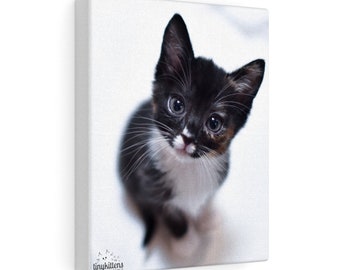 Aura Canvas Gallery Wrap