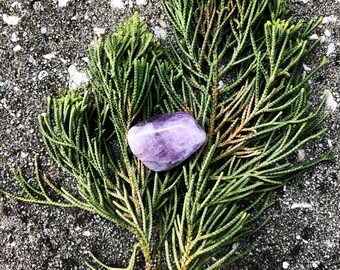 Crystals, Amethyst, Raw Amethyst, Reiki Charged (#61) EXACT Crystal Shown