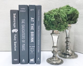 Gray Book Set, Gray Decor, Book Stack