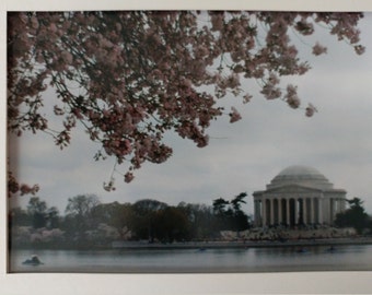 Photo: Cherry Blossom Tidal Basin