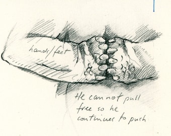 Original Drawing 'Bears Feet' from 'Sabine's Notebook' approx 4" X 3"