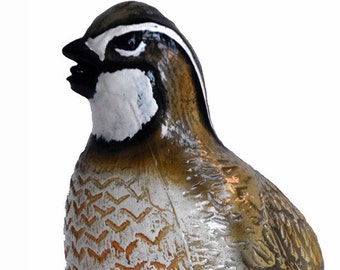 Quail Bottle Opener From Foxhall Ltd Game Bird Collection
