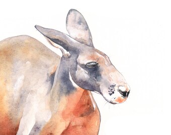 Kangaroo painting- K089 print of Watercolor Painting A4 print