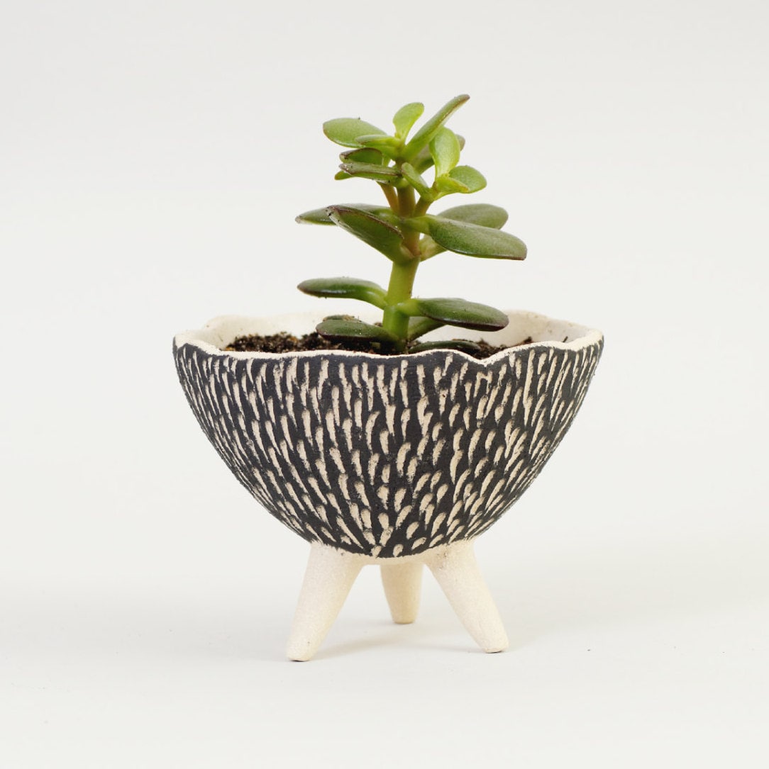 ðzoom. Black And White Pottery Planter Ceramic Planter Modern ðzoom. black and white pottery planter ceramic planter modern