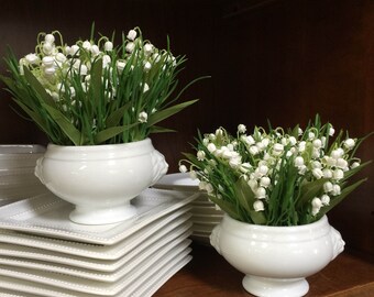 Lillies-of-the-Valley, Floral Arrangement, Spring Flowers