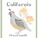 California State Bird, Flower and Motto Cross Stitch Pattern PDF