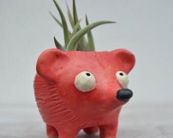 Hedgehog Planter / Air Plant Holder