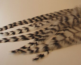 9 to 10 Inch Grizzly Rooster Saddle Hackle