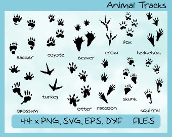 Download Animal tracks | Etsy