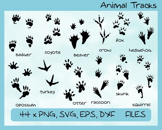 Download Animal Tracks 12 different animals 44 footprints svg eps