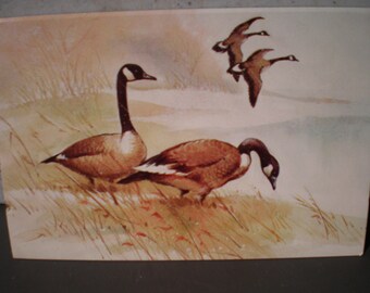 Vintage Unused 1980's Christmas Postcards - Set Of 19