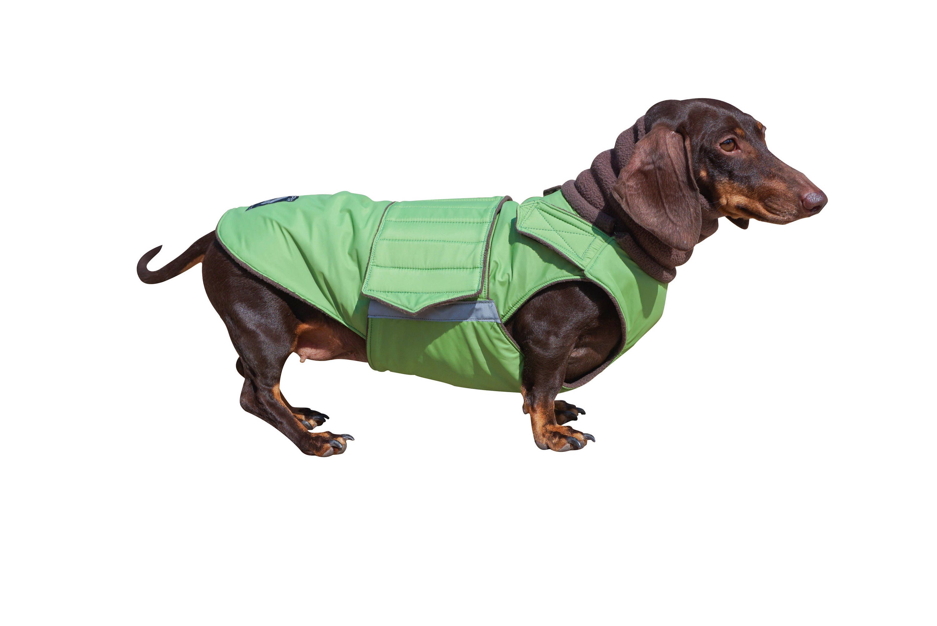 Miniature Dachshund Dog Rain Coat Raincoat Slicker Royal Wieners Dog Pyjamas