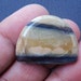 Beautiful Strip Line Jasper Cabochon - Natural Best Quality Sliver Strip Line Jasper Gemstone, 36.5Cts. (29x24x5)mm (E-30)