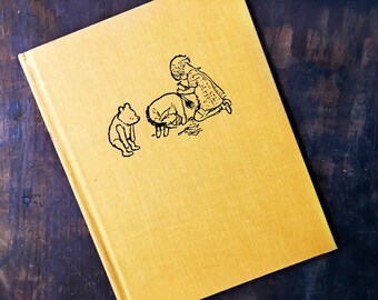 Winnie the Pooh Craft Book, Vintage Winnie the Pooh Book, AA Milne, Piglet, Tigger, Eeyore, Rabbit, Owl, 100 Acre woods, soft toy making