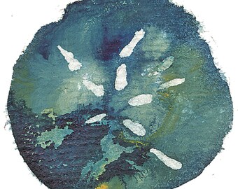 New River Beach Sand Dollar Print