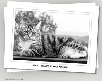 Funny Cats, Miss you greeting card, "I am not pleased by your absence," tabby cat, grumpy cat, black and white photo