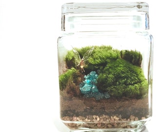 Moss Terrarium // Fairy