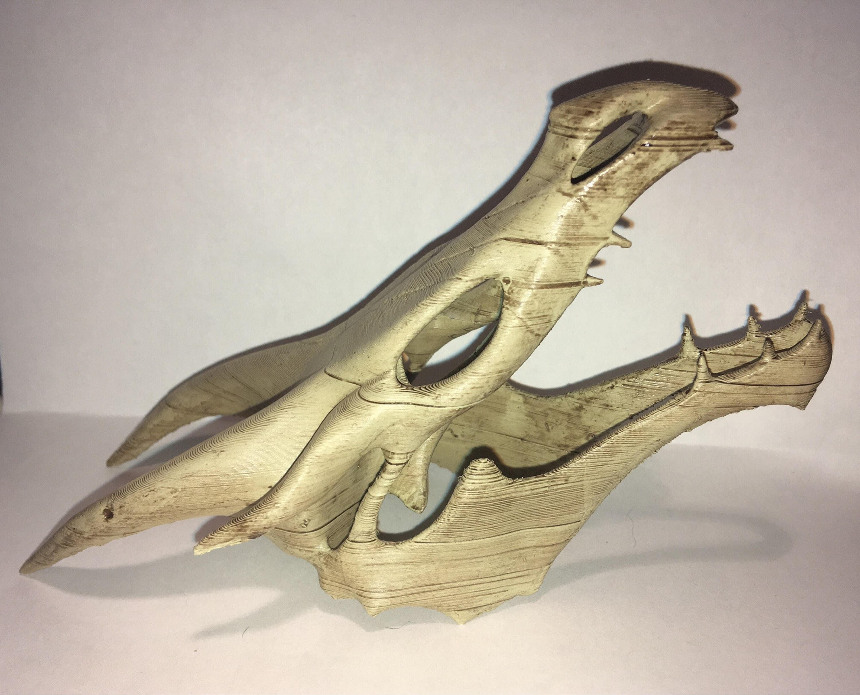 Dragon skull