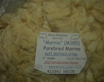mmfwool 1334U 1/2 of 4 lbs 1 oz fleece "Marnie" (M185) Merino purebred 3" staple soft defined crimp