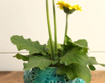 turquoise planter with saucer