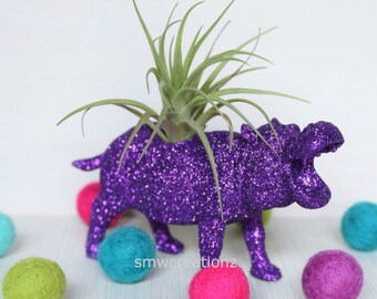 Custom Hippo Planter with Air Plant Room Decor- Glitter Hippo- Dorm Room Decor