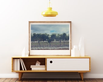 I Heard It Through The Grapevine - Merricks, Victoria, Australia