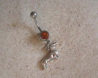 Dachshund teckel, piercing nombril, Piercing Nombril